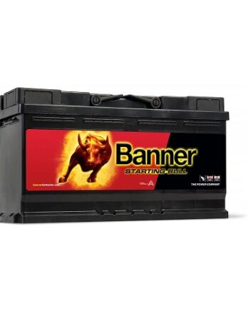 59533 – Batería BANNER 12V 95Ah 740A 354X175X190/190 +D