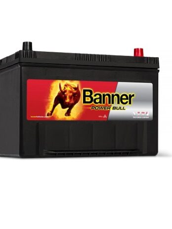 P9504 – Batería BANNER 12V 95Ah 740A 303X173X225 +D